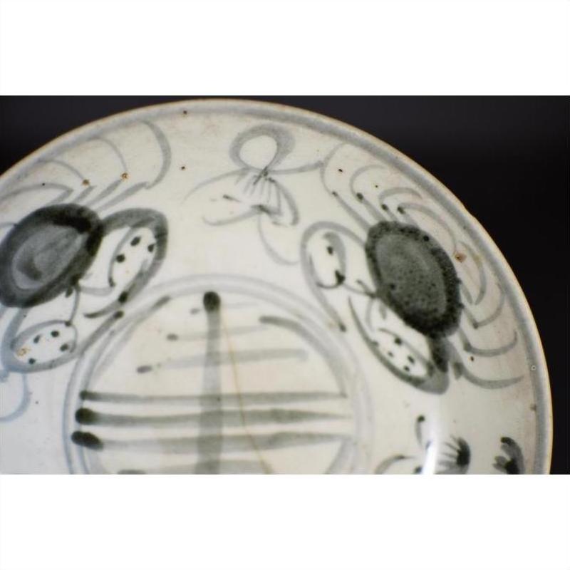 Close-up of white porcelain plate with antique painted abstract radial lines and a floral ring design.