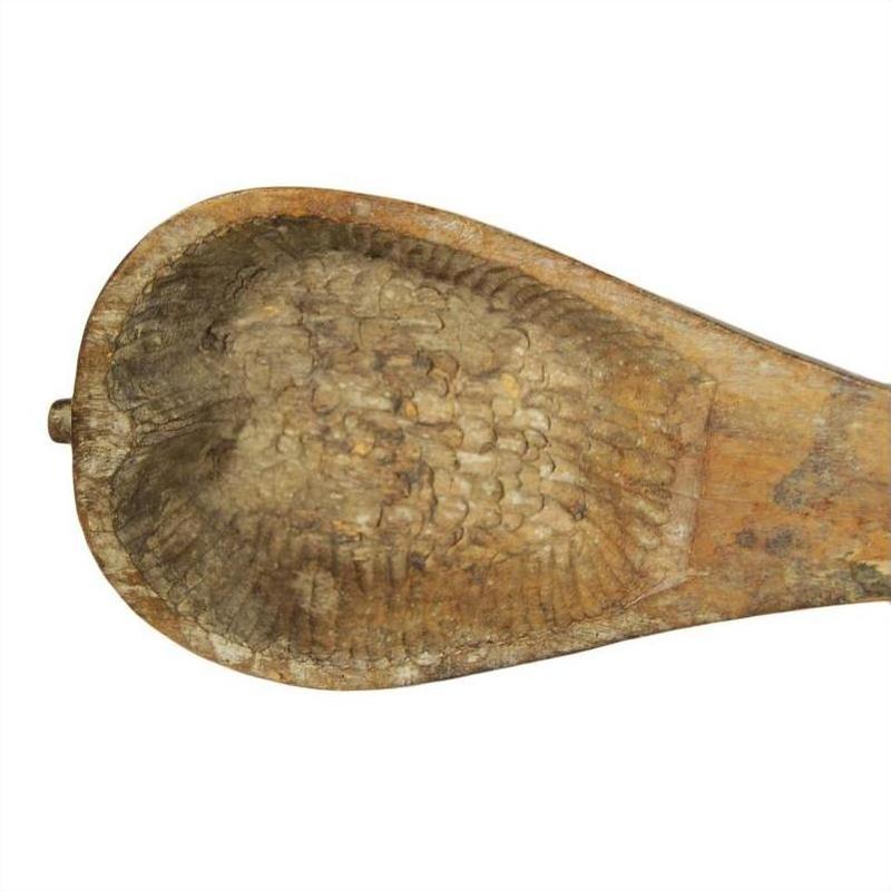 Brown wood hand-carved Indian lute with scallop shell design and detailed ridges, close-up of natural texture.