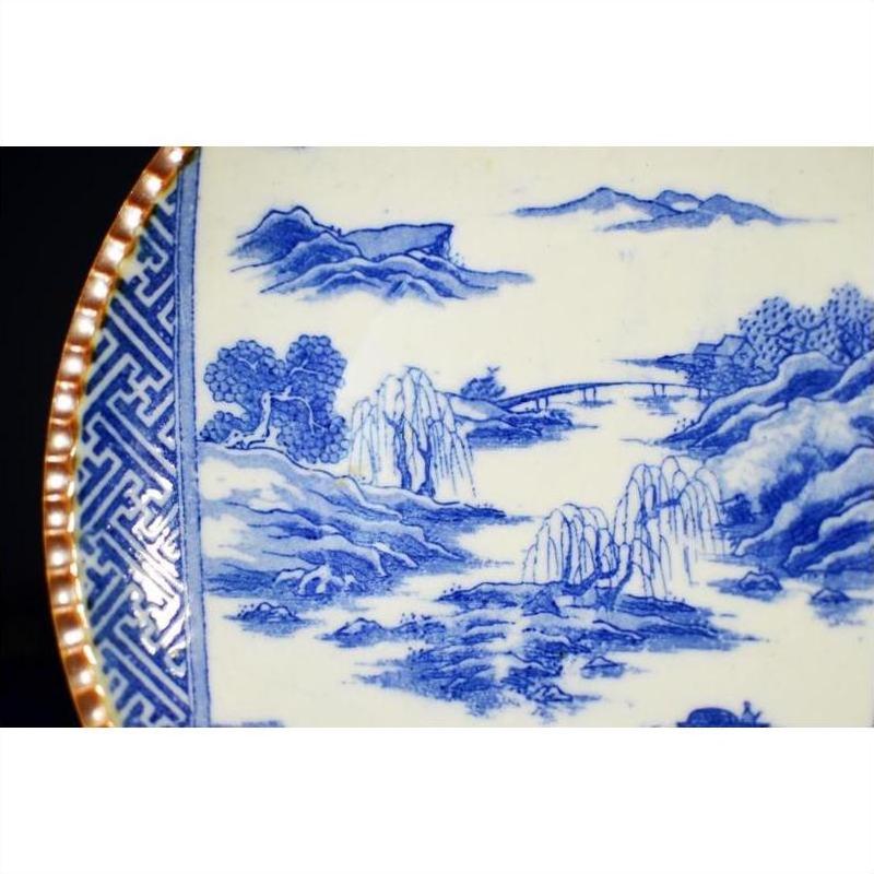 Blue and white ceramic Igezara Japanese transferware plate with trees, mountains, and patterned border, close-up view.