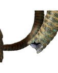 Bronze Rams Head-6. Asian & Chinese Furniture, Art, Antiques, Vintage Home Décor for sale at FEA Home