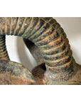 Bronze Rams Head-7. Asian & Chinese Furniture, Art, Antiques, Vintage Home Décor for sale at FEA Home