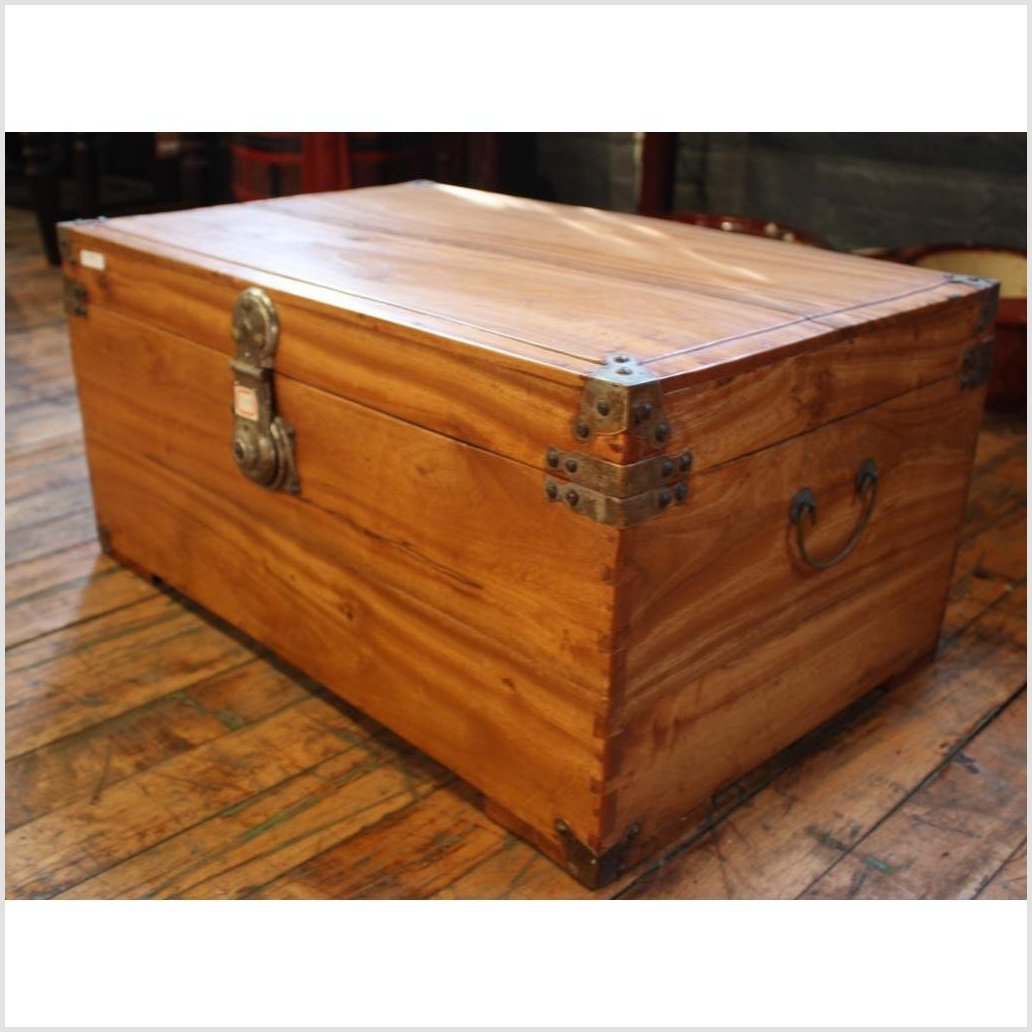 Camphor Trunk-1. Asian & Chinese Furniture, Art, Antiques, Vintage Home Décor for sale at FEA Home