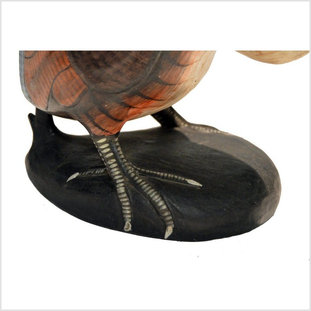 Hand Carved Indonesian Kiwi Bird-7. Asian &amp; Chinese Furniture, Art, Antiques, Vintage Home Décor for sale at FEA Home