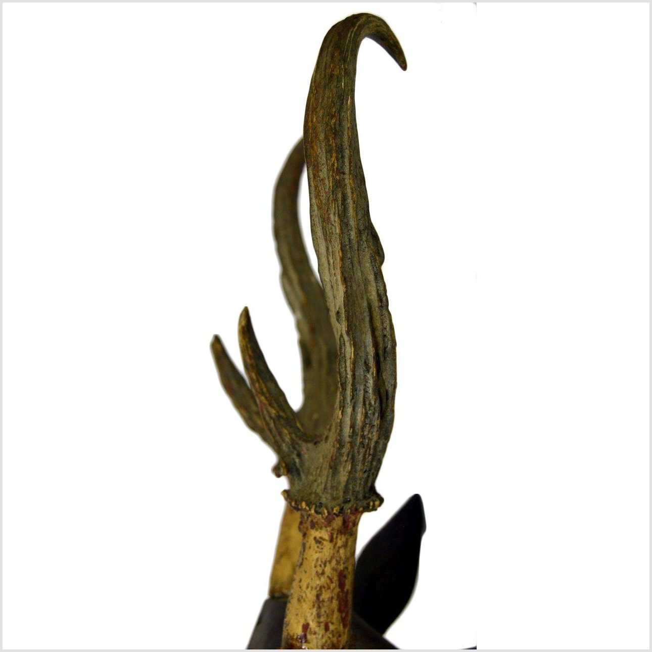Indonesian Deer Wall Trophy-5. Asian &amp; Chinese Furniture, Art, Antiques, Vintage Home Décor for sale at FEA Home