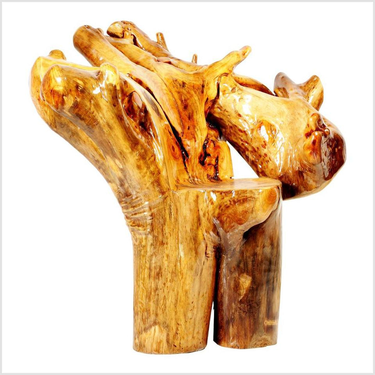 Large Handmade Camphor Wood Root Chair from China, 20th Century-2. Asian & Chinese Furniture, Art, Antiques, Vintage Home Décor for sale at FEA Home