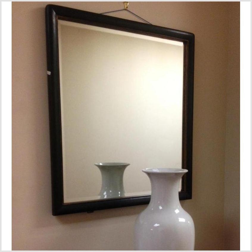 Mirror-1. Asian &amp; Chinese Furniture, Art, Antiques, Vintage Home Décor for sale at FEA Home