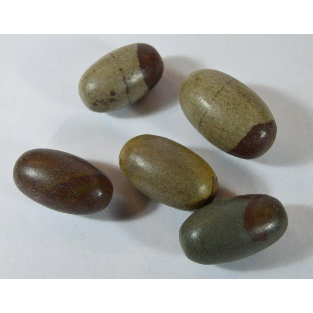 Brown and tan banded Shiva Lingam fertility stones, medium size, close-up on white background.