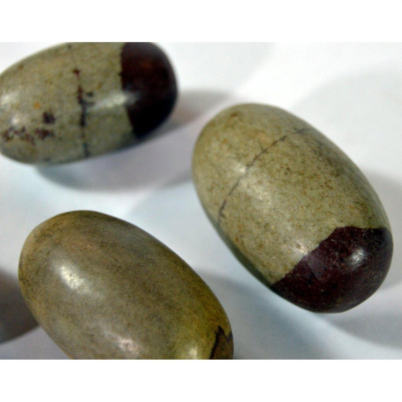 Close-up of three brown-tipped Shiva Lingam fertility stones on a white surface.