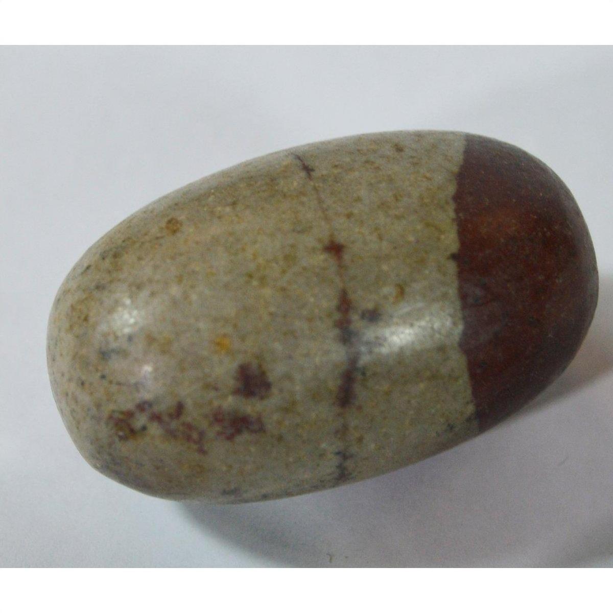 Close-up of a grey Shiva Lingam medium fertility stone with a dark brown end on a white surface.