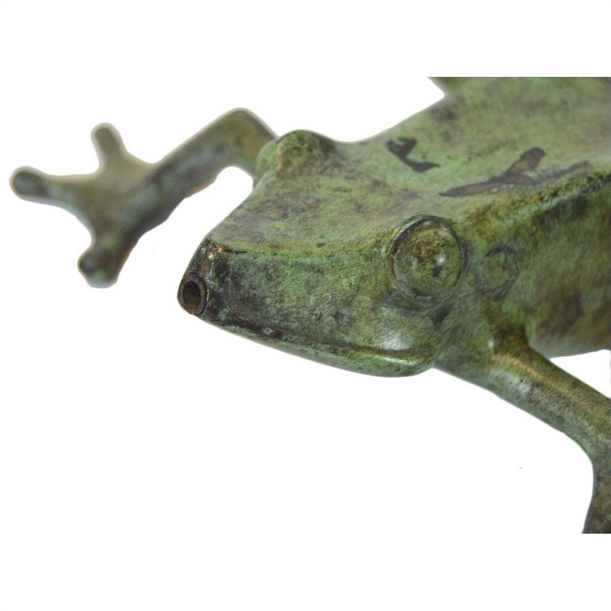 Close-up of verde gris bronze frog figurine face and front legs, white background.