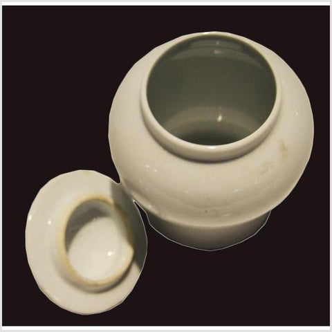 Vintage Chinese White Porcelain Urn